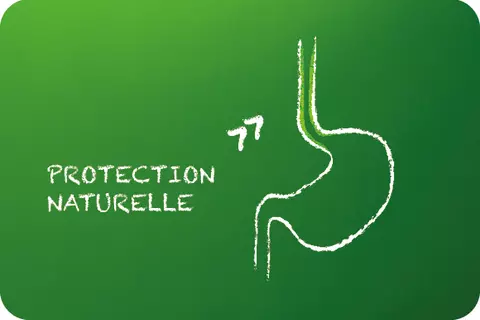 Protection naturelle