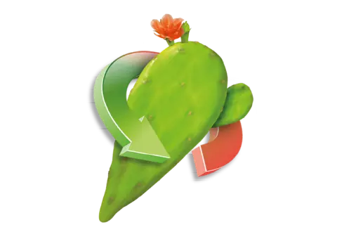 Cactusvijg